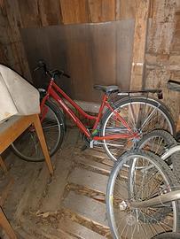 Bicicletta Kosmos