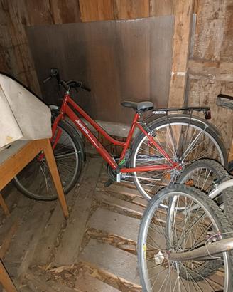 Bicicletta Kosmos