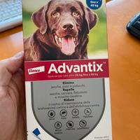 Animali