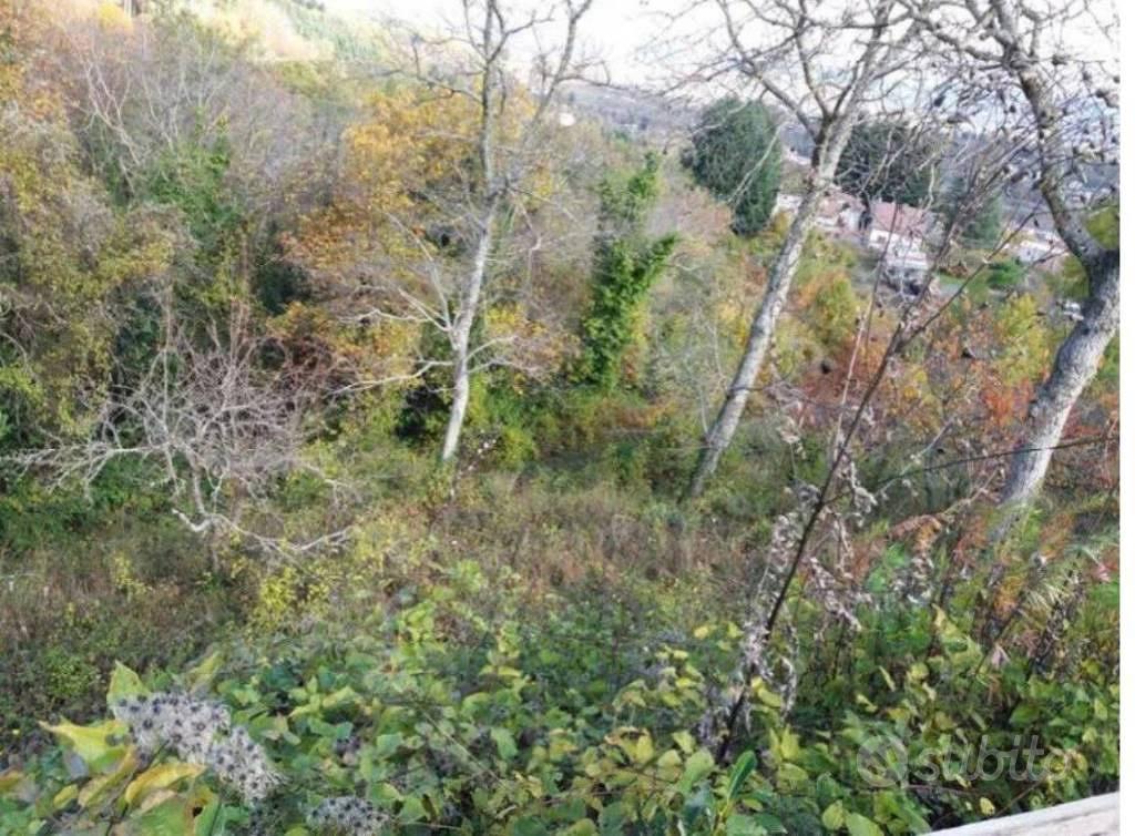 Immobile in asta di 2150 m² a Decollatura - Vista 5