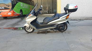 majesty 250