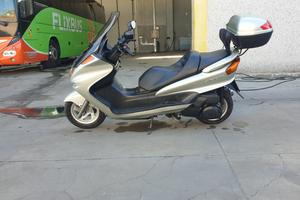 majesty 250