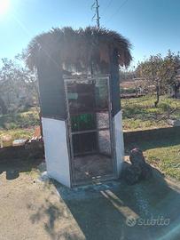 gabbia per volatili esterna