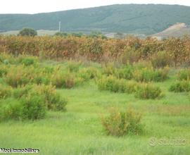 Sant'anna arresi - agricolo terreno in zona reside