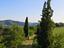 Immagine 25
