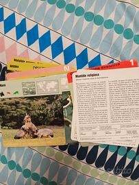 Schede sugli animali 