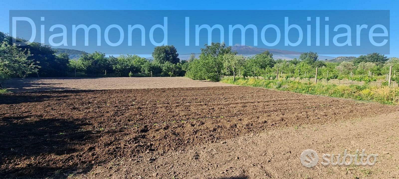 Terreno con rustico a Castiglione di Sicilia - Vista 2