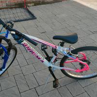 Mountain bike taglia 24