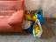 Immagine 4
