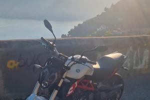 Benelli 302