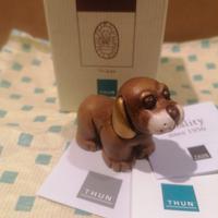 Cane Presepe Thun 