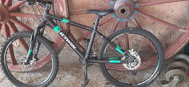 bicicletta 
