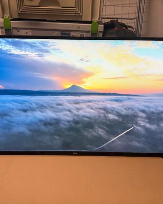 Monitor tv DELL 4k 55 pollici modello c5519q