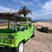 Citroen Mehari