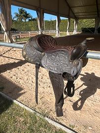 Sella da monta americana