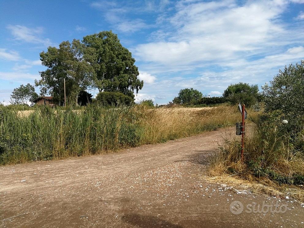 Terreno zona ardea - Vista 4