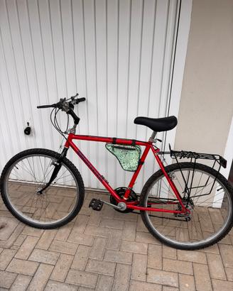 Mountain bike  anni '90, Bianchi, Ruote 26