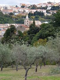 Terreno contrada monti