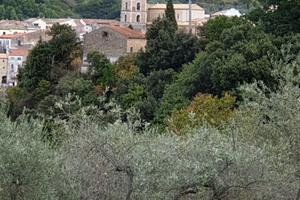 Terreno contrada monti