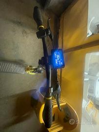 Monopattino elettrico