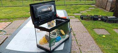 acquario 45lt