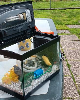 acquario 45lt