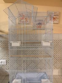 Gabbia per uccelli o pappagallo