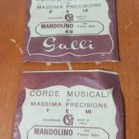 Corde Musicali