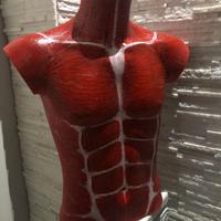 SCULTURA BUSTO DIPINTO UOMO SENZA PELLE SCALA 1/1