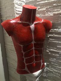 SCULTURA BUSTO DIPINTO UOMO SENZA PELLE SCALA 1/1