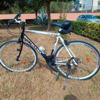 Bicicretta bottecchia "alta velocità" AV803