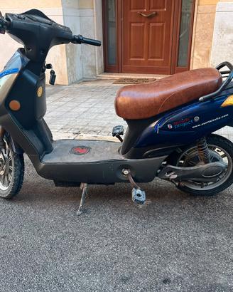 bicicletta elettrica 