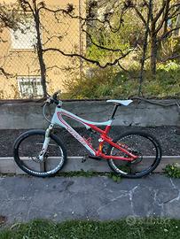 specialized epic expert