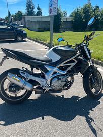 Suzuki Gladius 650 (2009) - 37.000 km