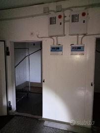 cella frigo solo € 3.000