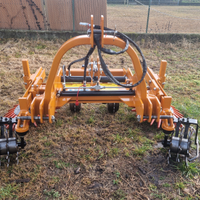 Diserbatrice meccanica Berti Ecorow