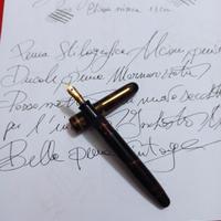 Penna stilografica Alcione 