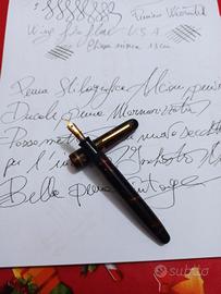 Penna stilografica Alcione 