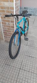 bici  muntain