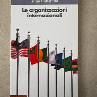 Anna Caffarena Le organizzazioni internazionali