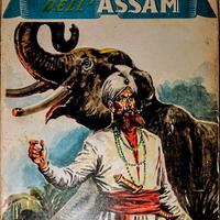 Libro Il Rajah del Assam Emilio Salgari 