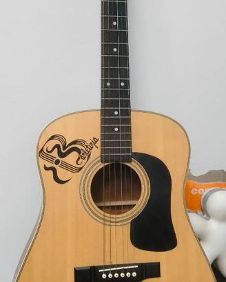 chitarra acustica washburn