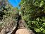Immagine 29