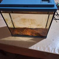 acquario Zolux 12 litri + sabbia