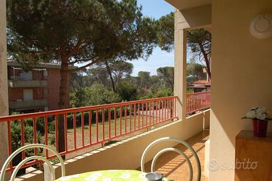 Principina a Mare bilocale vicino mare