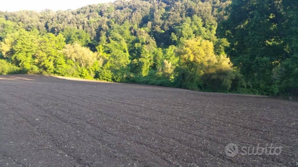 Terreno di 18120 m² a Tuscania - Vista 2