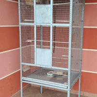 Gabbia per uccellini 
