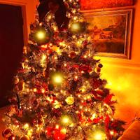 Albero di Natale grande 210cm.