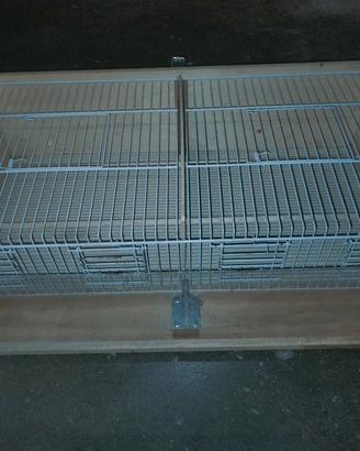 trasportino uccelli 