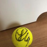 pallina autografata Jannik Sinner-Roland Garros